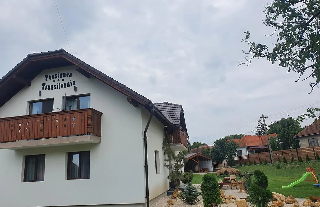 Pensiunea transilvania-1